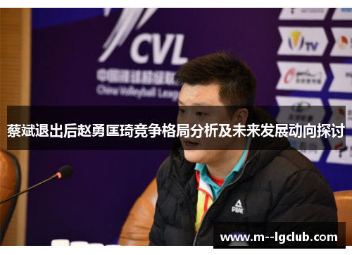 蔡斌退出后赵勇匡琦竞争格局分析及未来发展动向探讨 蔡斌退出后赵勇匡琦竞争格局分析及未来发展动向探讨