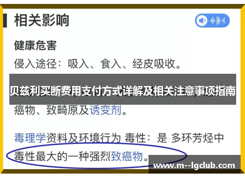 贝兹利买断费用支付方式详解及相关注意事项指南