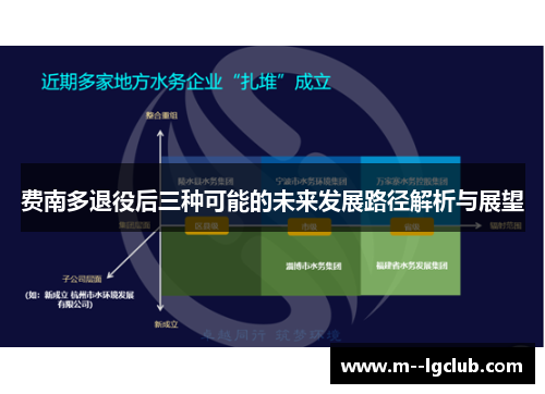 费南多退役后三种可能的未来发展路径解析与展望 费南多退役后三种可能的未来发展路径解析与展望