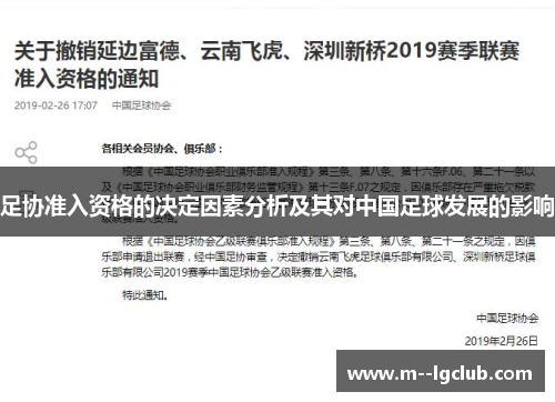 足协准入资格的决定因素分析及其对中国足球发展的影响 足协准入资格的决定因素分析及其对中国足球发展的影响