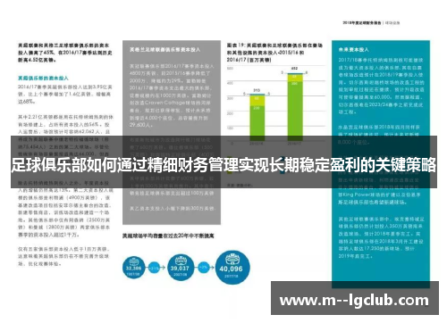 足球俱乐部如何通过精细财务管理实现长期稳定盈利的关键策略 足球俱乐部如何通过精细财务管理实现长期稳定盈利的关键策略