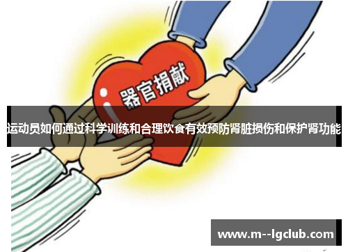 运动员如何通过科学训练和合理饮食有效预防肾脏损伤和保护肾功能 运动员如何通过科学训练和合理饮食有效预防肾脏损伤和保护肾功能