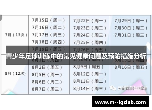 青少年足球训练中的常见健康问题及预防措施分析